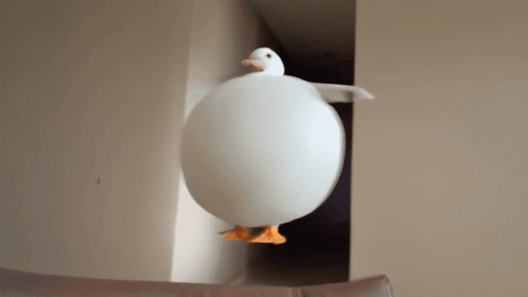Balloon Flyaway